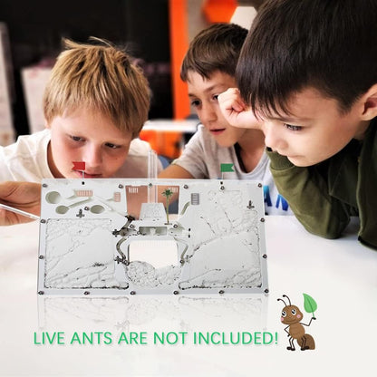 Ant Castle Farm - Live Ant Colony Observation Kit & Science Learning Habitat for Kids