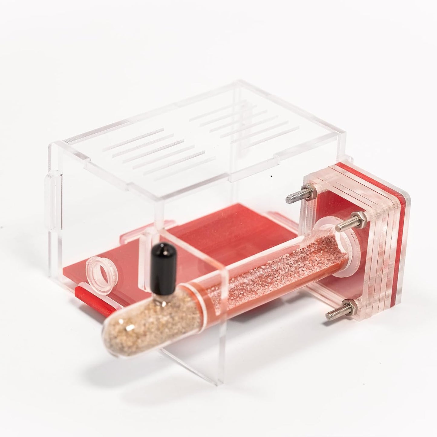 Plaster Test Tube Adult ant Farm Acrylic Transparent ant Observation Behavior Study Live Ants and Queen Education ant nest Small Colony breeding Area Suitable for Children and Enthusiasts Gift