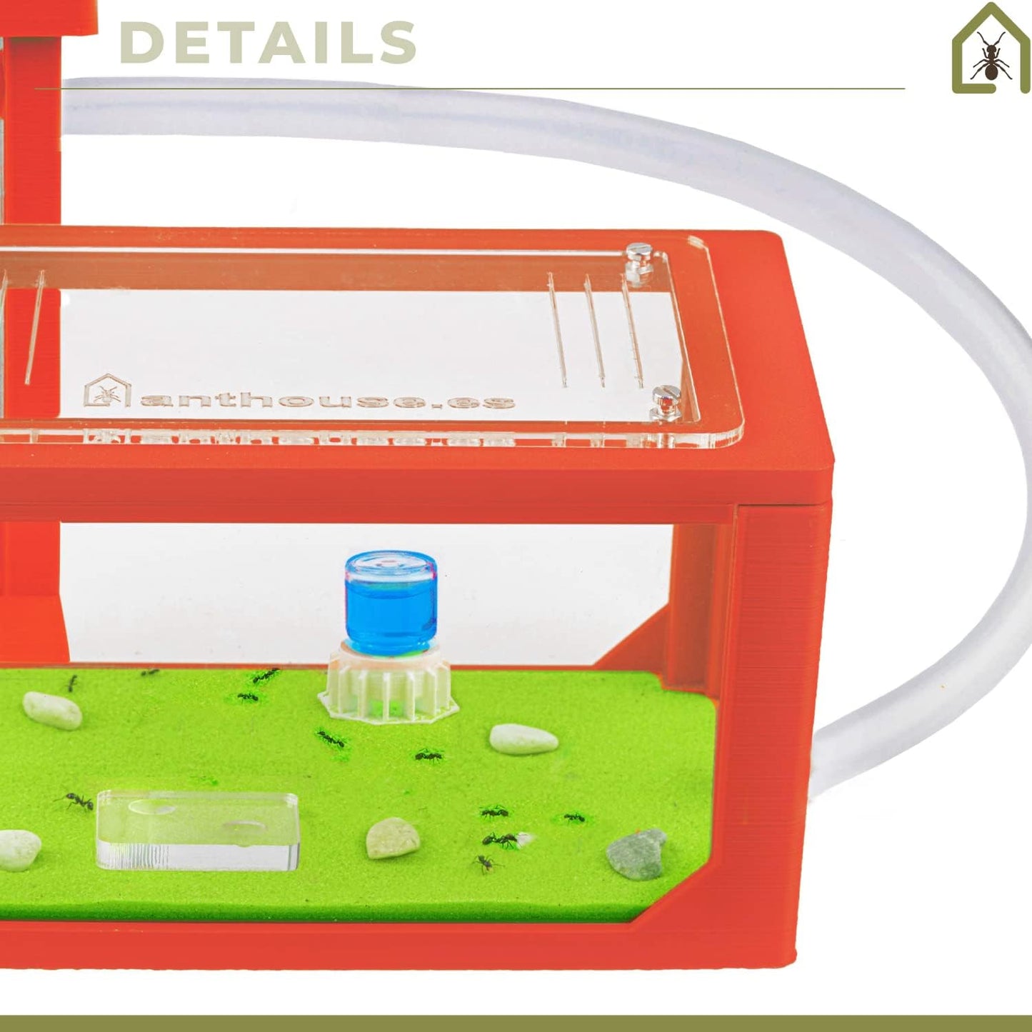 Anthouse.ES - Natural Sand Ant Farm - Basic Acrylic Kit (Sandwich + Foraging Box) - 12x10x1 cm and 18x10x5 cm