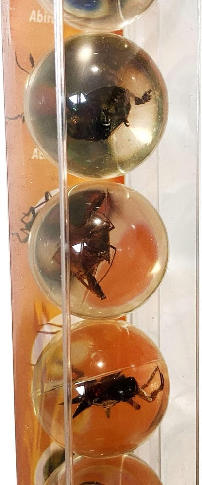 Safari Ltd. Geoworld Bug Marbles - Set of 8 Marbles 1 Inch with Real Insect Specimens