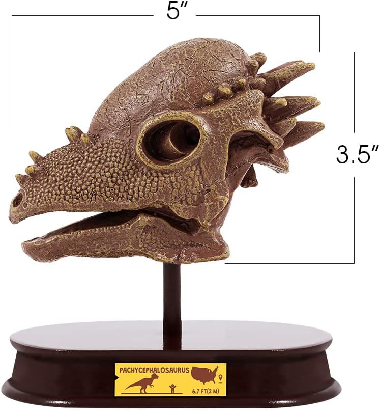 ArtCreativity Dinosaur Excavation Kit for Kids, Brachiosaurus Skull Excavating Set with Fossil Digging Tools and Stand, Fun Science Activity Toy, Educational Dinosaur Gift for Boys and Girls