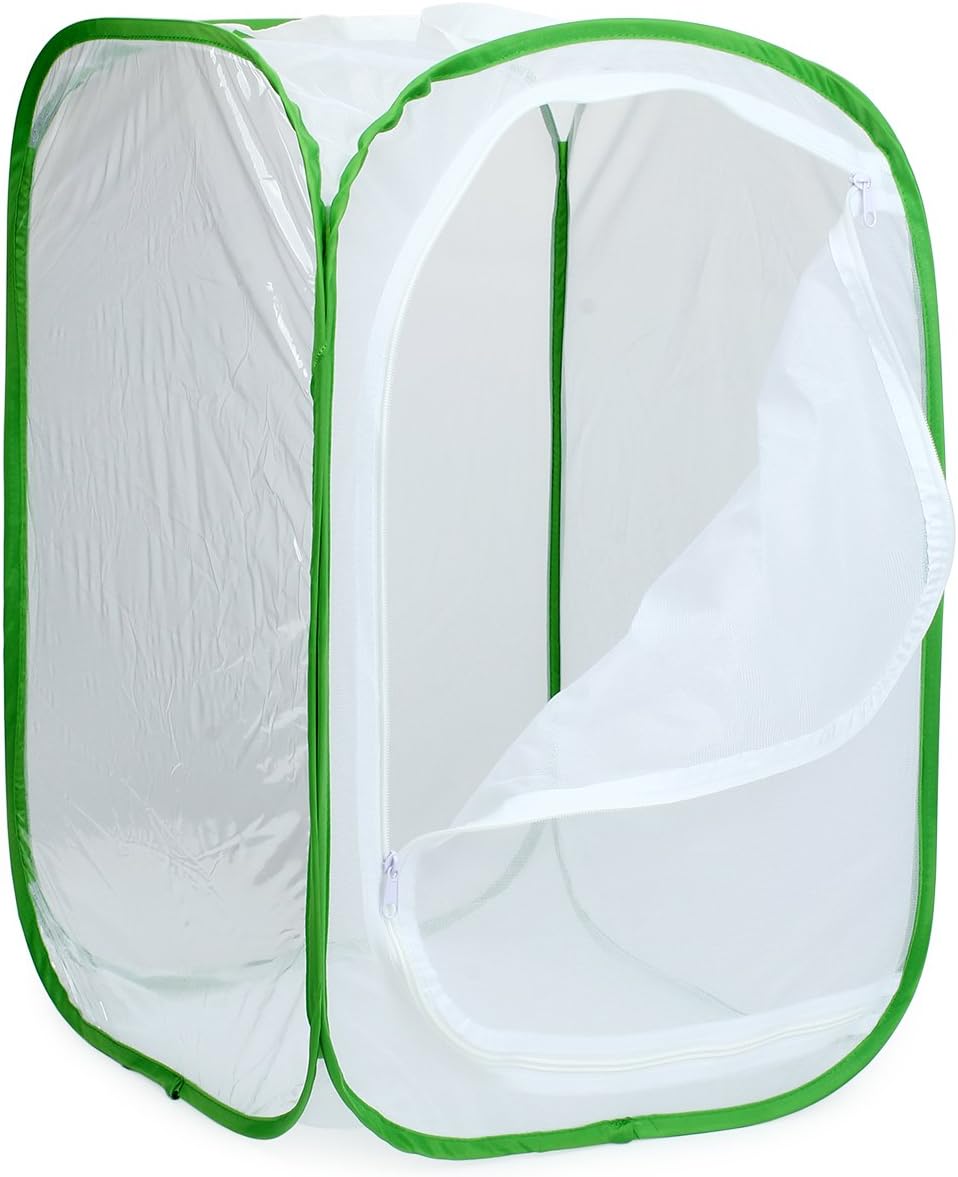 RESTCLOUD Insect and Butterfly Habitat Cage Terrarium Pop-up 24 Inches Tall with 10Pcs 10ML Floral Tubes