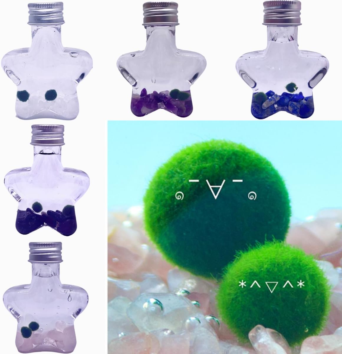 2PCS Marimo Moss Ball kit Natural Crystal 5 Choices Mini Marimo Moss Ball Kit - 5 Wish Stars with 2PCS Kokedama Unique Gift for Plants Beginners (Obsidian)