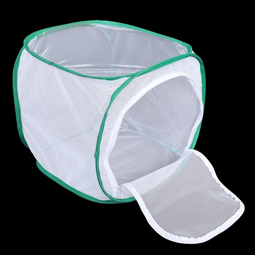 Foldable Butterfly Habitat, Butterfly Cage for Caterpillars, Create Farm, Enclosure for Breeding Soldier Fly, Dragonfly, or Housefly for Chicken and Reptile Feed (30 * 30 * 30cm)