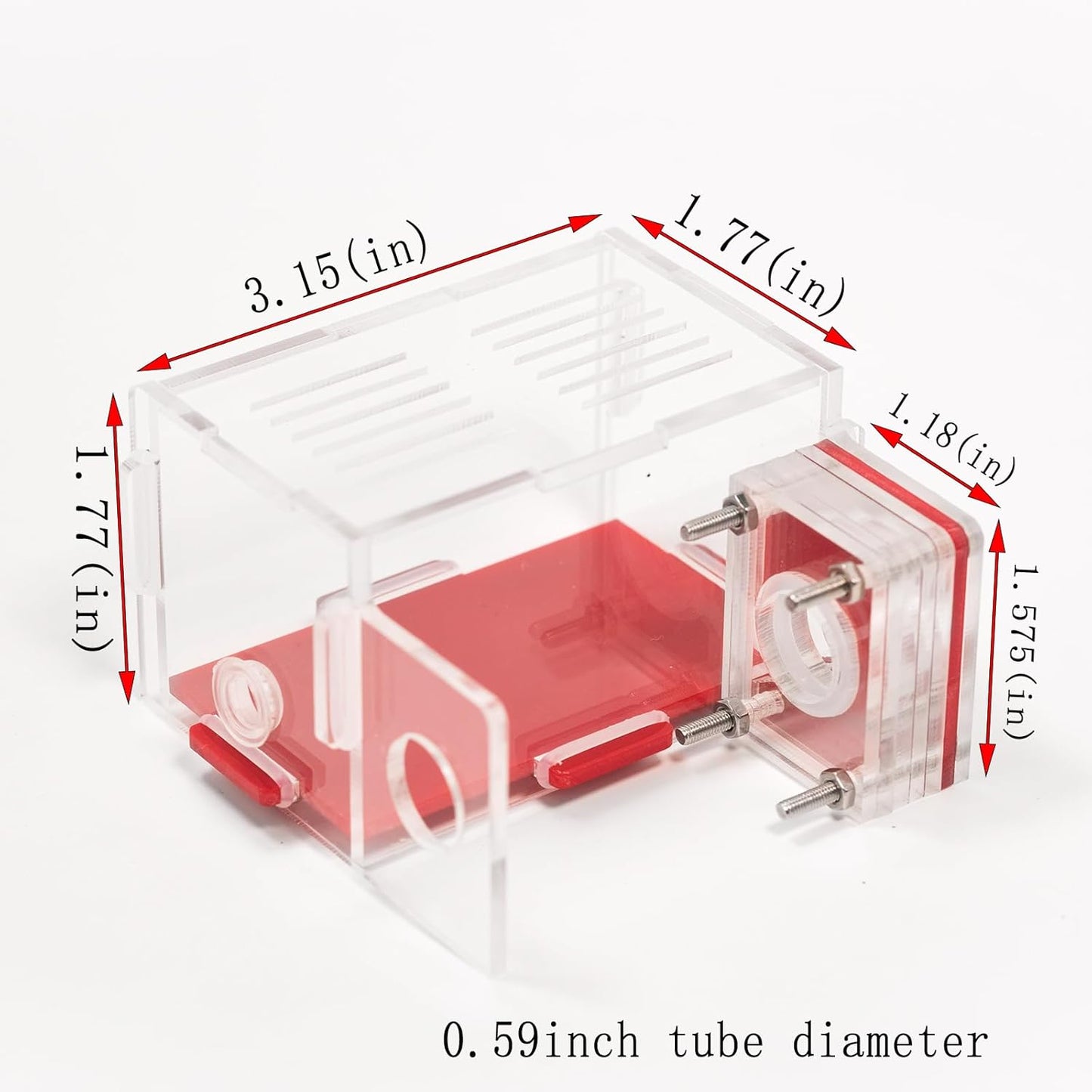 Plaster Test Tube Adult ant Farm Acrylic Transparent ant Observation Behavior Study Live Ants and Queen Education ant nest Small Colony breeding Area Suitable for Children and Enthusiasts Gift