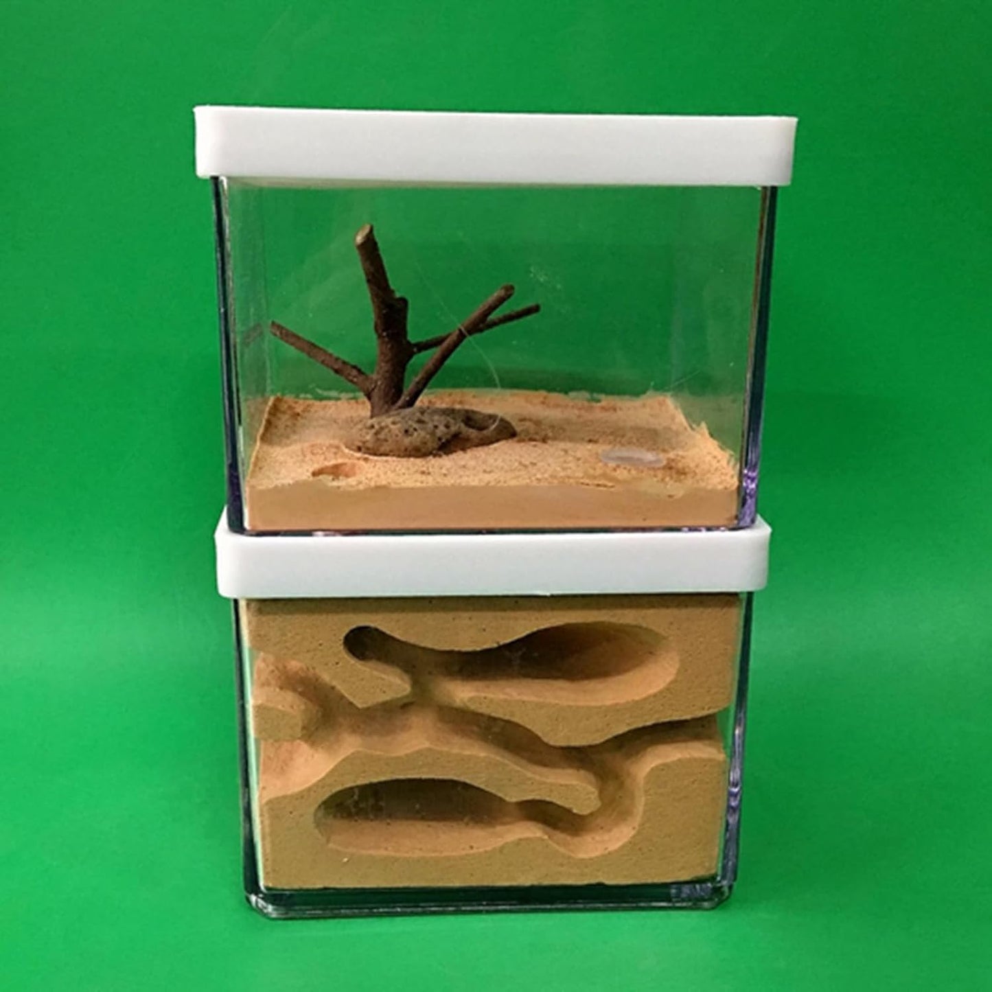 Acrylic Transparent Ant Farm Nest - Ant Observation & Education - Suitable for Children & Enthusiasts - Gift Giving