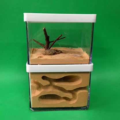 Acrylic Transparent Ant Farm Nest - Ant Observation & Education - Suitable for Children & Enthusiasts - Gift Giving