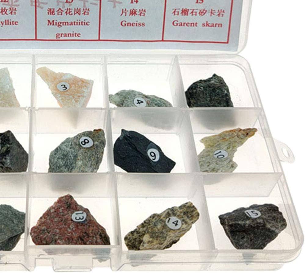 LoveinDIY Metamorphic Rock Teaching Aid Supplies Collection, Ages 8 and Up