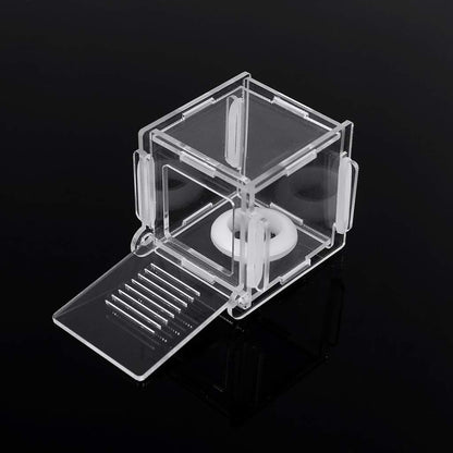 Nest Ants Farm House Glass Tubes Nest Nest Acrylic Farm Gifts For Kids