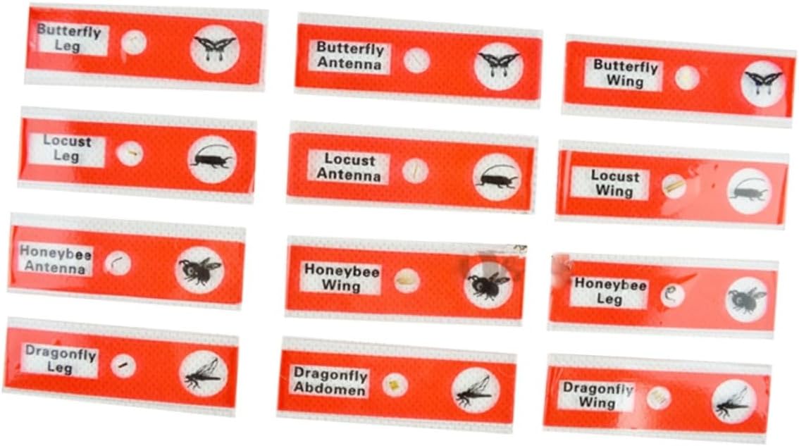 Gatuida Kids Microscope Accessories 12pcs Plastic Slides Prepared Specimens Set