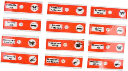 Gatuida Kids Microscope Accessories 12pcs Plastic Slides Prepared Specimens Set