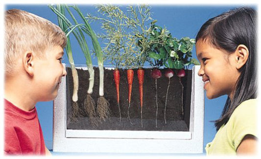Root-Vue Farm Multicolor, 16 Inch