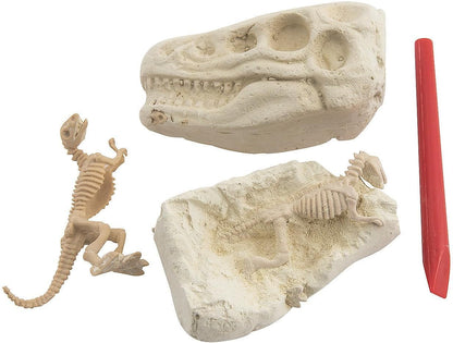Fun Express Dig & Discover Kit for Kids Excavate Dinosaur Heads with Tools & Toy - Perfect for VBS, Classroom Activities, and Educational Playtime Fun - 12 Pieces