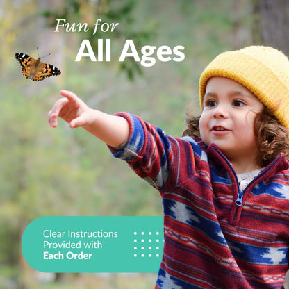 Clearwater Butterfly Painted Lady Butterflies - 5 Live Caterpillars to Butterflies - Caterpillars for Butterfly Kit - Mesh Cage Not Included - Live Butterfly Kit - 5 Count
