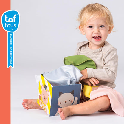 Taf Toys Baby Tissue Box Toy Silicone Baby Toys 6-12 Months Montessori Toys Sensory Activity & 10 Tissues for Fine Motor Development Soft Interactive Silicone Learning Cube for 1 Year Old Toddlers