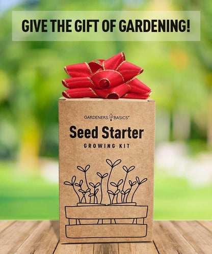 Butterfly Milkweed Seeds Starter Kit – Grow 4 Beautiful Milkweed Varieties – Non-GMO Heirloom Seeds, Complete Indoor & Outdoor Butterfly Grow Kit, Perfect for Monarch Butterflies & Pollinators