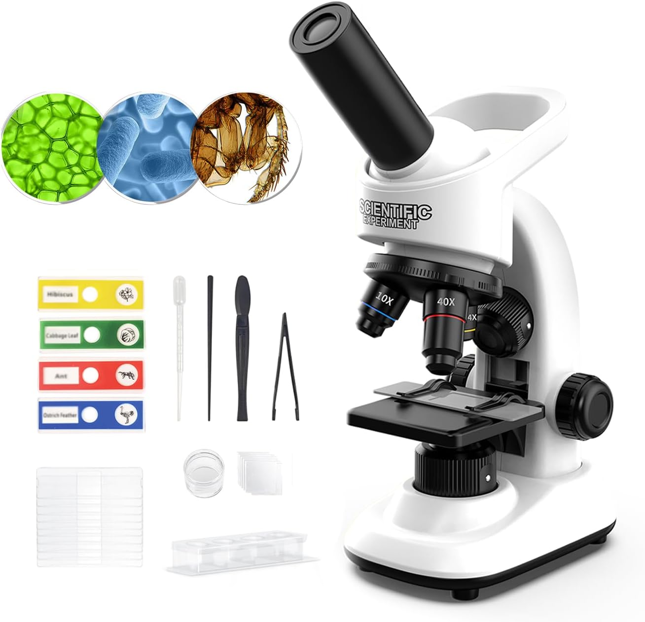 Microscope for Kids Scientific Experiment Kit 40X-1600X Magnification LED Light Educational STEM Kit with Slides and Lab Tools (Blue)