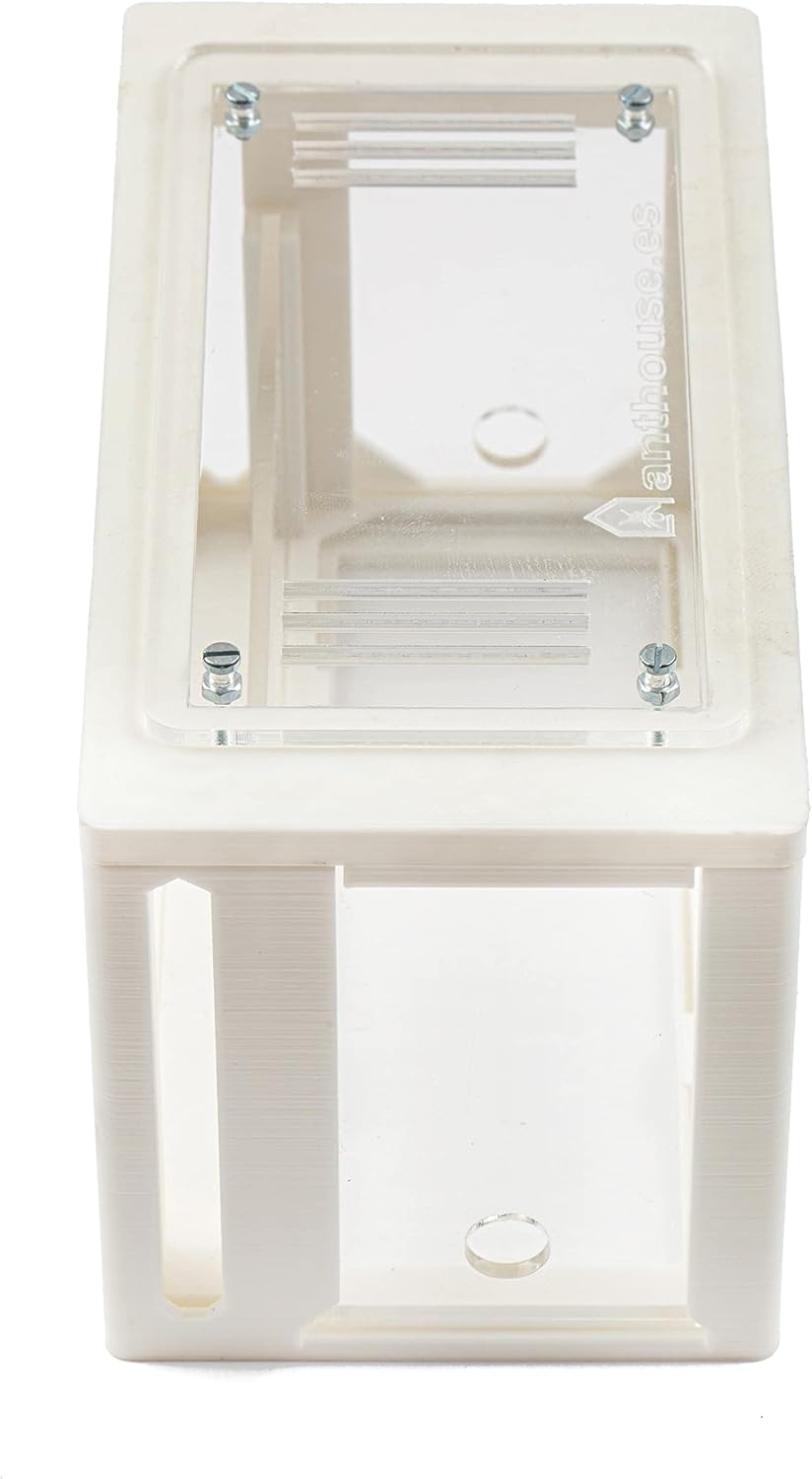 Anthouse.ES - Natural Sand Ant Farm - Acrylic Starter Kit 20x10x10 cm - Sand, Pipette, and Water Dispenser Included - Easy Installation
