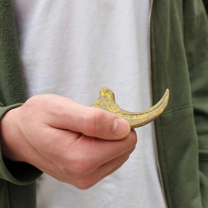 Safari Ltd. Dino Dexter Velociraptor Claw Excavation Kit - Realistic Dinosaur Dig Experience for Kids 6+