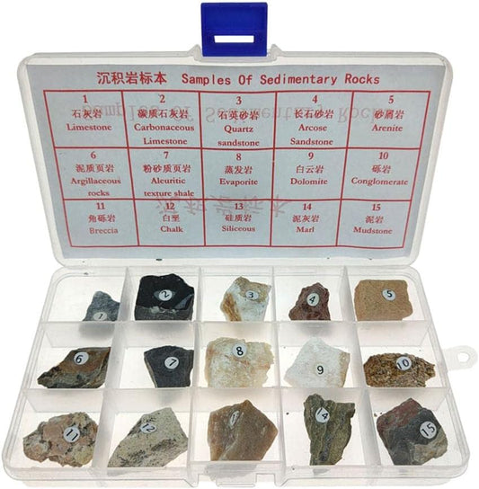 misppro Sedimentary Rock Specimen Rock Collection Real Stone Teaching Aid Ages 8 Up