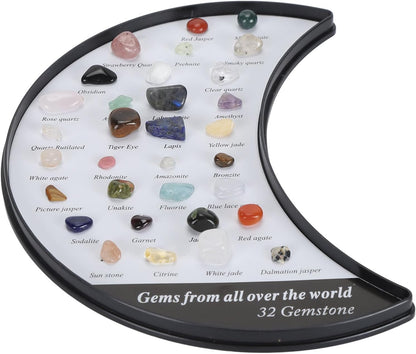 Pssopp Rock Stone Collection Kit, Minerals Educational Science Kit for Kids with Transparent Display Box, Great Rock Collectors and Geology Enthusiasts (Type 4)