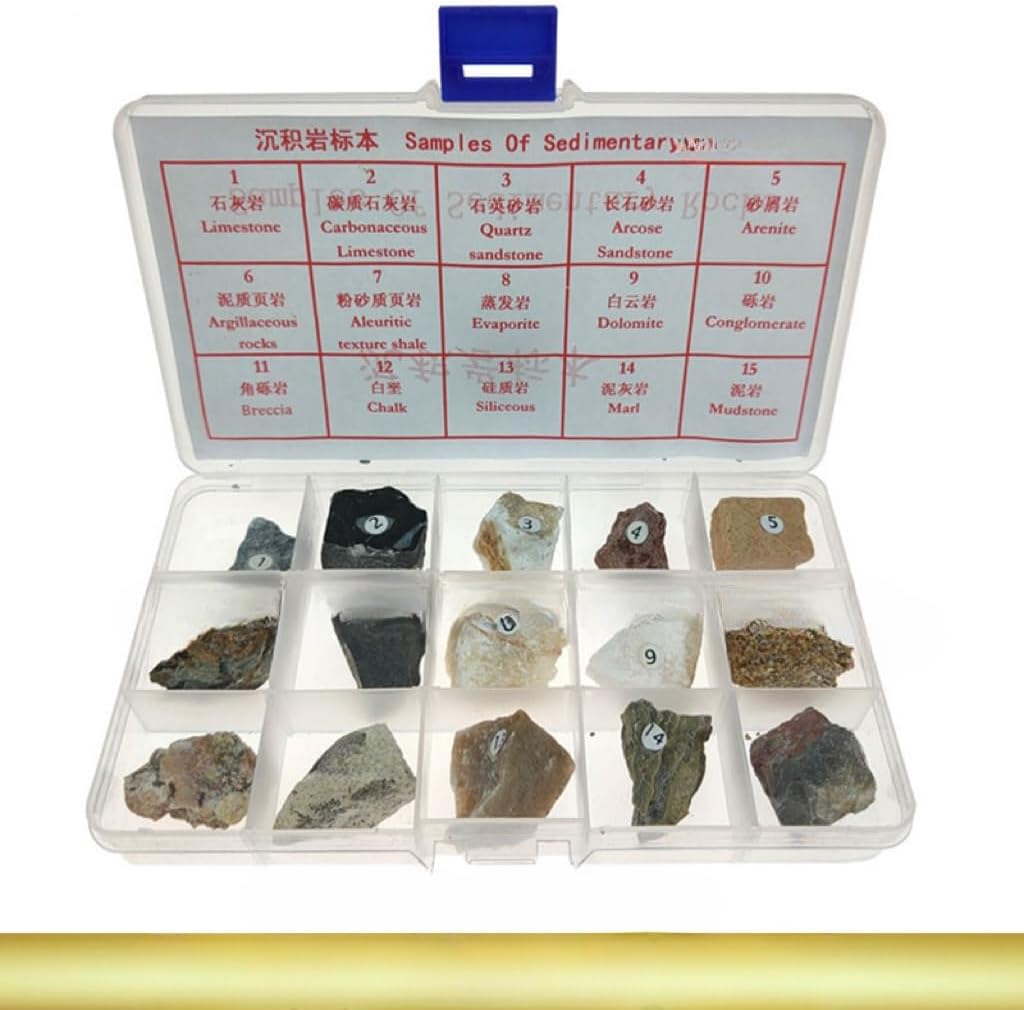 misppro Sedimentary Rock Specimen Rock Collection Real Stone Teaching Aid Ages 8 Up