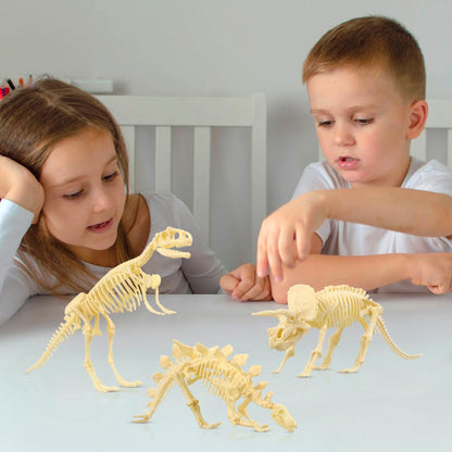NUOLUX 3Pcs 4D Dinosaur Fossil Skeleton Toys DIY for Kids Fossil Skeleton Figure