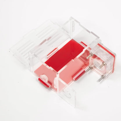 Plaster Test Tube Adult ant Farm Acrylic Transparent ant Observation Behavior Study Live Ants and Queen Education ant nest Small Colony breeding Area Suitable for Children and Enthusiasts Gift