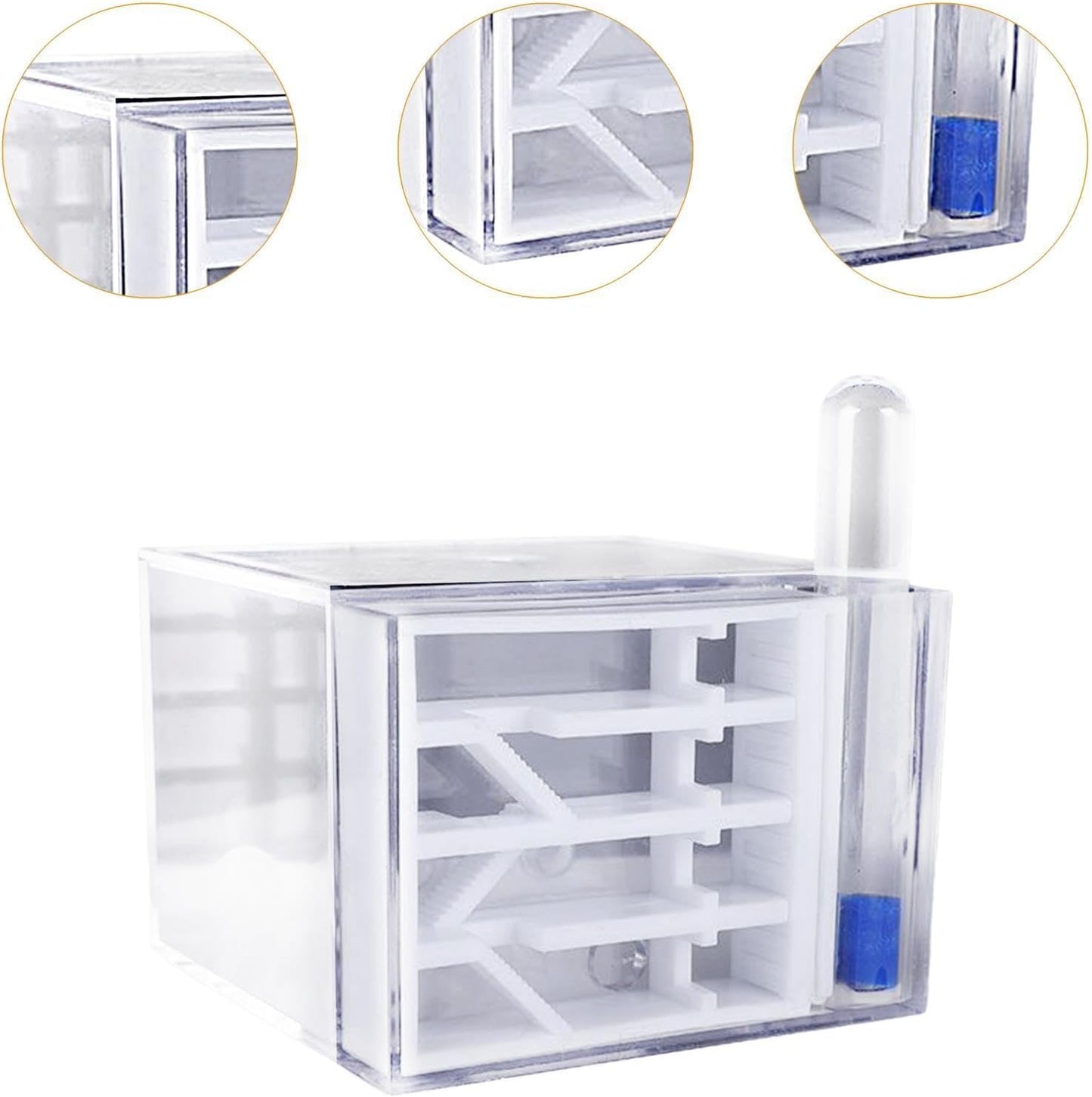 ANT Farm Study DIY Supplies ANT Habitat for Decor Children's Day Birthday