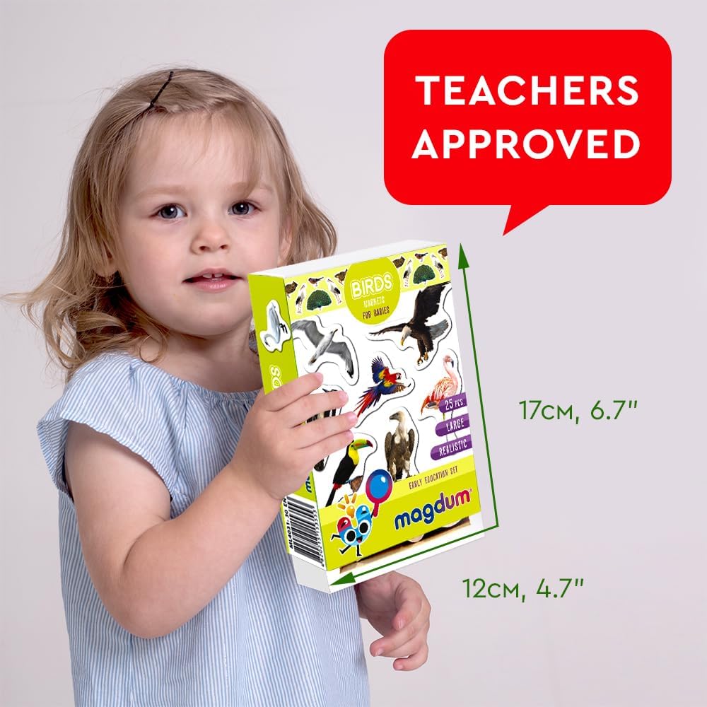 25 Fridge Magnets for Toddlers - Birds Photo Kids Magnets for Refrigerator – Real Magnetic Animals for Children – Big Realistic Magnet for Kids - Learning Toy Set - Baby Educational Gift