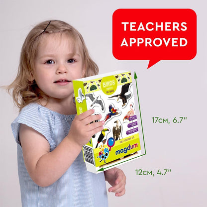 25 Fridge Magnets for Toddlers - Birds Photo Kids Magnets for Refrigerator – Real Magnetic Animals for Children – Big Realistic Magnet for Kids - Learning Toy Set - Baby Educational Gift