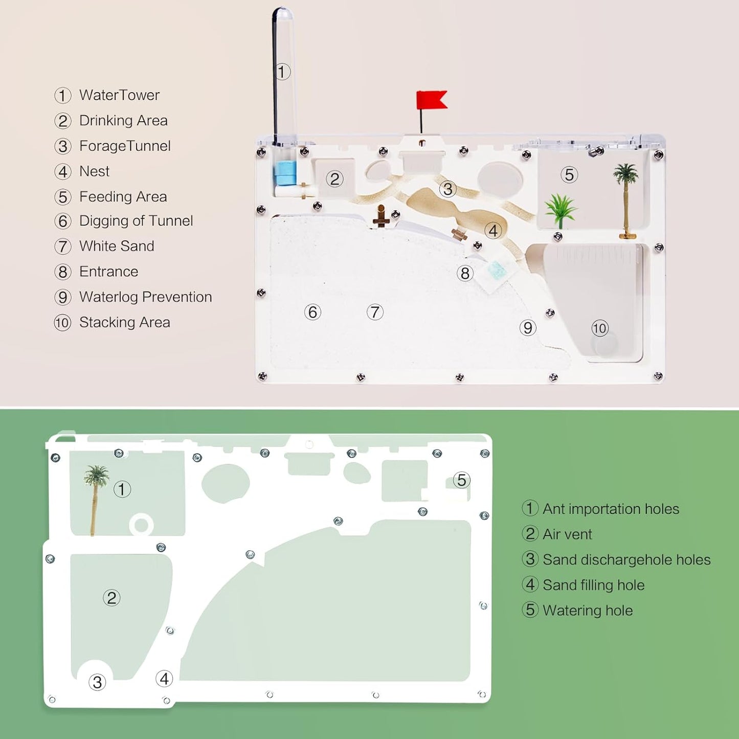 Ant Farm Castle - Large Viewing Area - Care for Live Ants - Ant Colony Observation Kits with Sand Habitat - Educational Science Gifts for Boys, Girls - Ant Farms for Kids, Adults