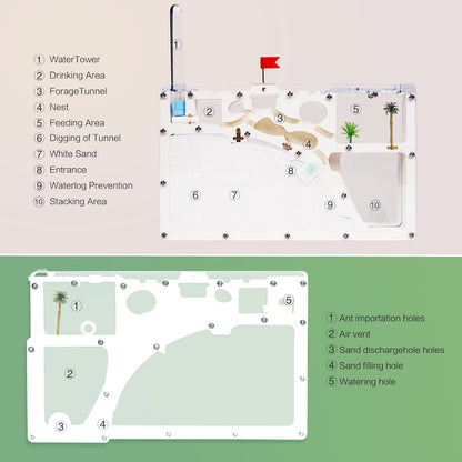 Ant Farm Castle - Large Viewing Area - Care for Live Ants - Ant Colony Observation Kits with Sand Habitat - Educational Science Gifts for Boys, Girls - Ant Farms for Kids, Adults