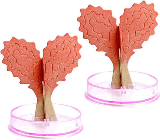 Vaguelly 2sets Valentine's Day Love Tree Toys Heart Shaped Crystals Growing Kit DIY Paper Tree Ornaments for Boys and Girls