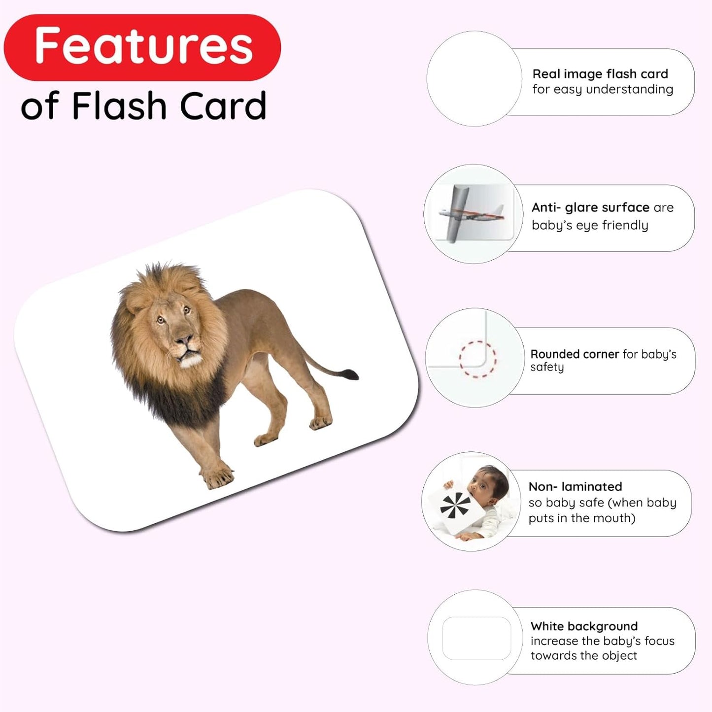 Hungry Brain Number Flash Cards for Kids Ages 36 Years Months to | Learn Numbers, Counting & Early Math Skills | Preschool Educational Toy for Toddlers | Montessori Learning | Set of 24 Cards