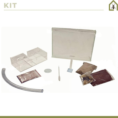 Anthouse.ES - Natural Sand Ant Farm - Medium Acrylic Kit (Sandwich + Foraging Box) - 25x20x1.8 cm and 20x12x12 cm