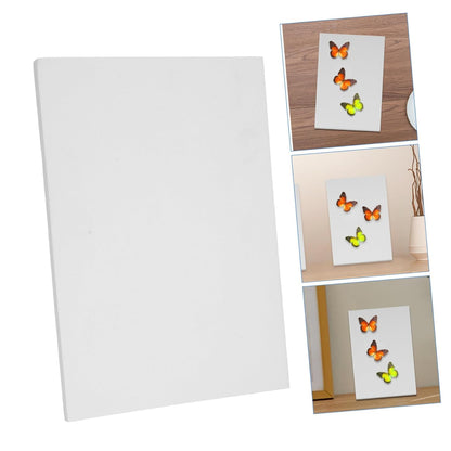 STOBAZA 3pcs Butterfly Specimen Mounting Board Insect Kit Science Supplies for Labs
