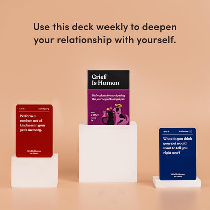 Children are Human | 140 Conversation Cards to Help Bond with Kids | Card Game for Elementary School Children | Designed by Experts for Grades 2-5 | Ages 7-10+