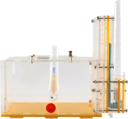 ANT Housing Nest Habitat Transparent Acrylic with Feeder ANT Farm Display Box for Gift Lovers Birthday Decor Children's Day- Yellow
