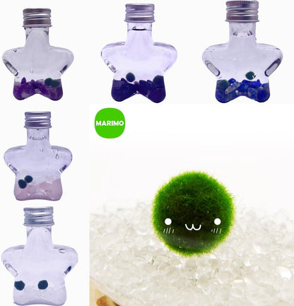 2PCS Marimo Moss Ball kit Natural Crystal 5 Choices Mini Marimo Moss Ball Kit - 5 Wish Stars with 2PCS Kokedama Unique Gift for Plants Beginners (Obsidian)