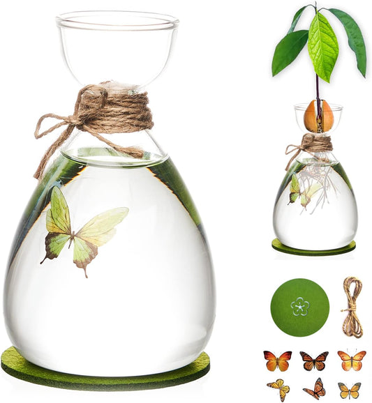 Avocado Seed Vase,DIY Avocado Seed Starter Glass Vase with Absorbable Mat and Butterfly Stickers,Avocado Tree Growingredients Vase for Seed Gardening Gifts Sirensky Brand