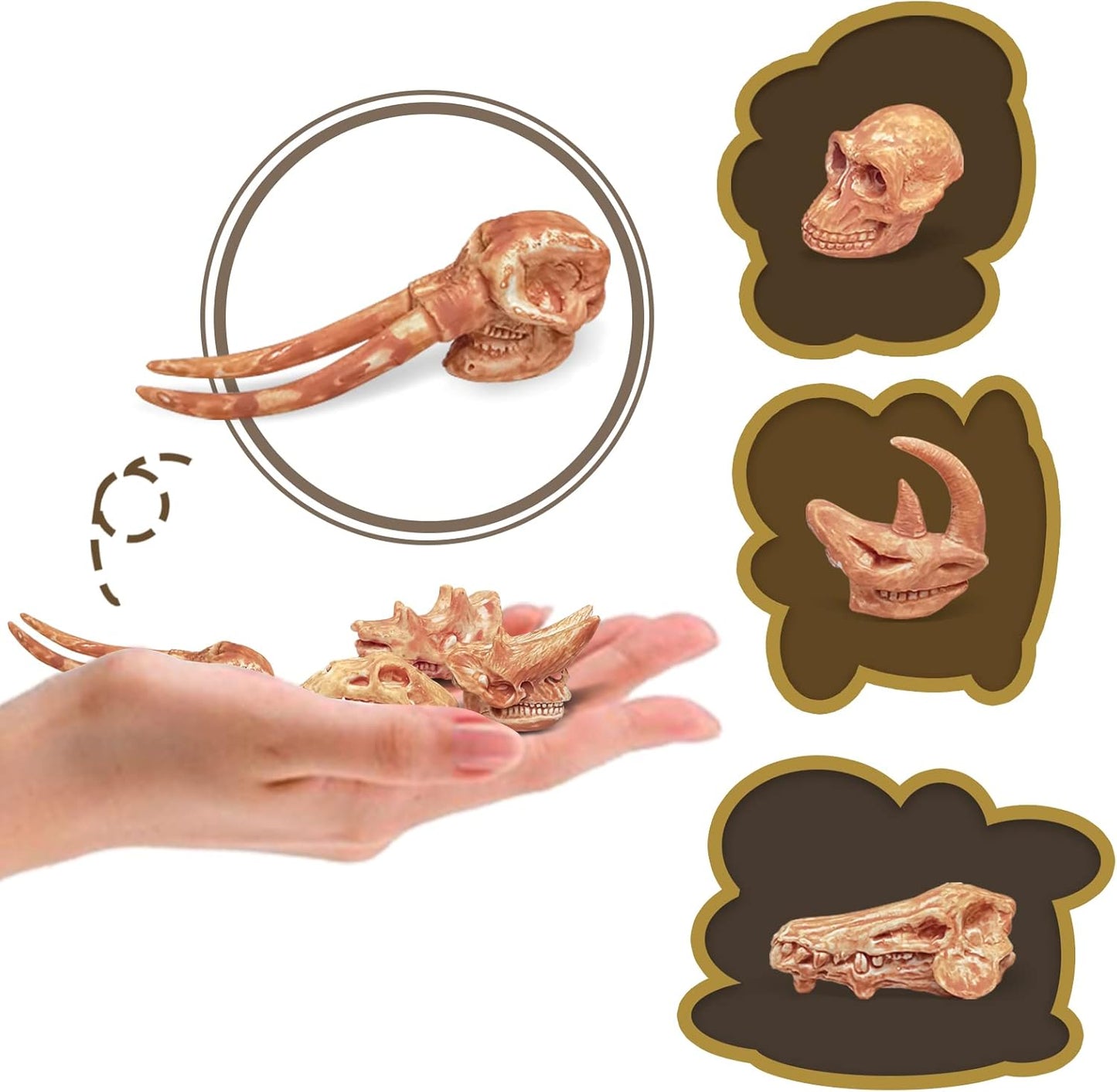LC JoyCre Mini Dinosaur Bones for Kids Sandbox Toys - Realistic Fake Dinosaur Bones for Kids to Dig Up