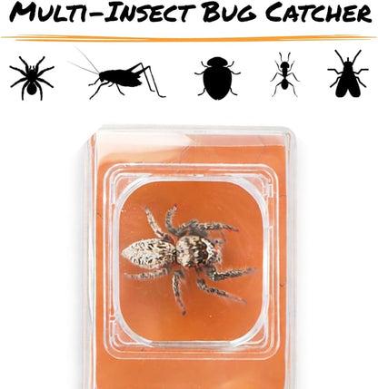 Carson BugView 5X Magnifying Glass Quick-Release Bug Catcher Indoor and Outdoor Tool for Kids or Adults (HU-10)