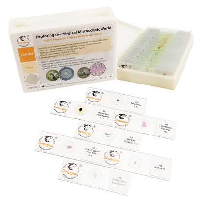 30 Prepared Microscope Slides with Specimens for Kids Students - Plants, for Biological Science Lab, Children's Science Education, Homeschooling Use