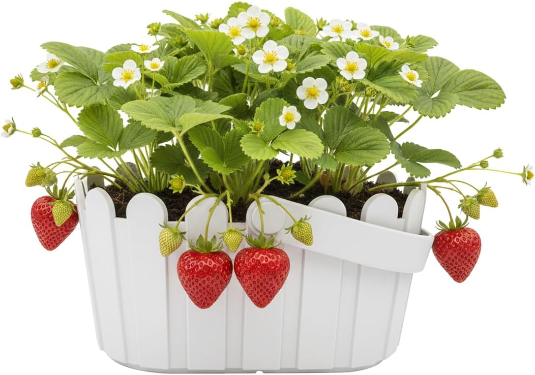 Buzzy Seeds Strawberry Grow Kit Pink Picket Fence Berry Basket with Grandian Seeds, Indoor Planting Starter Kit, DIY Garden Project, Gardening Gift for Women