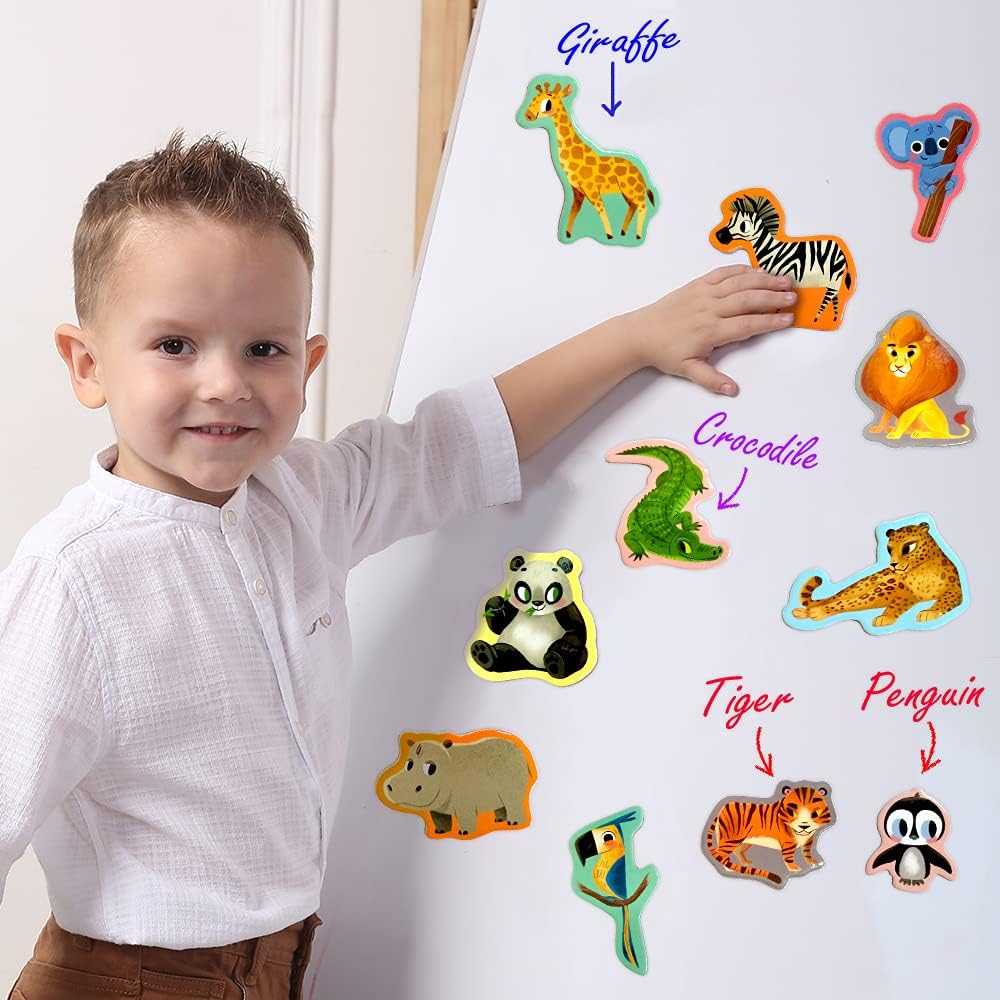 25 Fridge Magnets for Toddlers - Birds Photo Kids Magnets for Refrigerator – Real Magnetic Animals for Children – Big Realistic Magnet for Kids - Learning Toy Set - Baby Educational Gift
