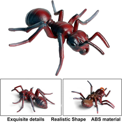 Realistic Animal Figures Red Ant Figurines Insect Toy, Science Project, Cake Topper, Early Educational Toys Birthday for Toddlers Kids Age 3 4 5