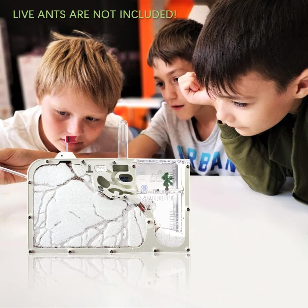Ant Castle Farm - Live Ant Colony Observation Kit & Science Learning Habitat for Kids