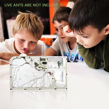 Ant Castle Farm - Live Ant Colony Observation Kit & Science Learning Habitat for Kids