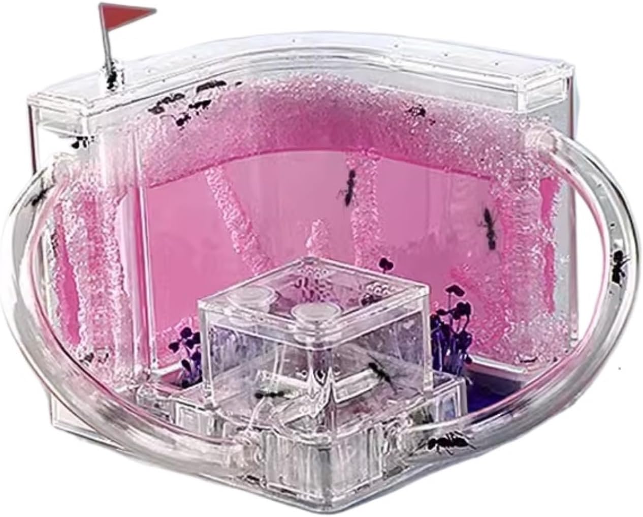 Ant Habitat Ant Farm Ant Castle Ant Castle Ant Studio Habitat Ant Farm Education and Learning Science Kit Ant Nest Farm for Learning Kit Ant Nest Ant House Ant Nest Farm(Pink), 22cm